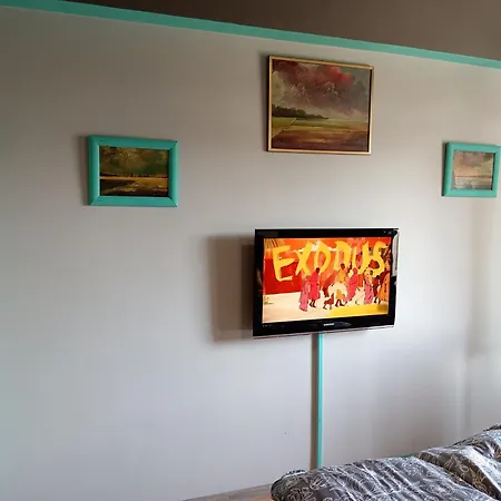 Apartment Mili Novi Sad